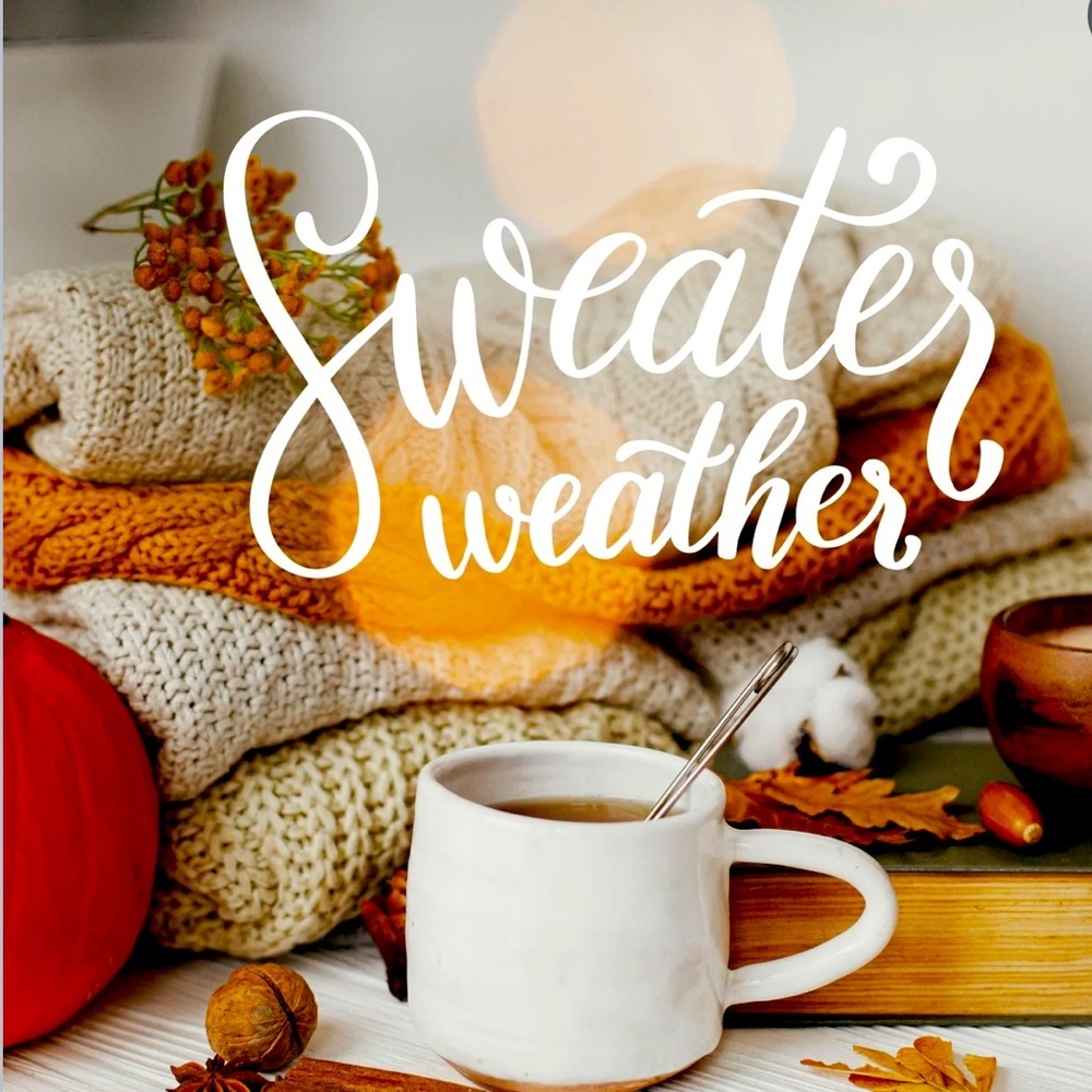 Cozy sweater sale right now 🤩 $25 each shop now!